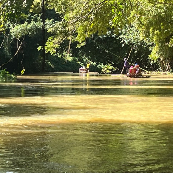 Meet your Posher, Lila - Picture 3 of 3